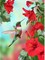DIY 5D Diamond Craft Painting Kit – Hummingbird & Flowers Diamond Art for Adults, Full Drill Diamond Painting for Wall Decor, Gifts & Relaxation (30x40cm / 11.8x15.7inch)